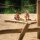 Sandkasten Robinie mit 2 Kindern
