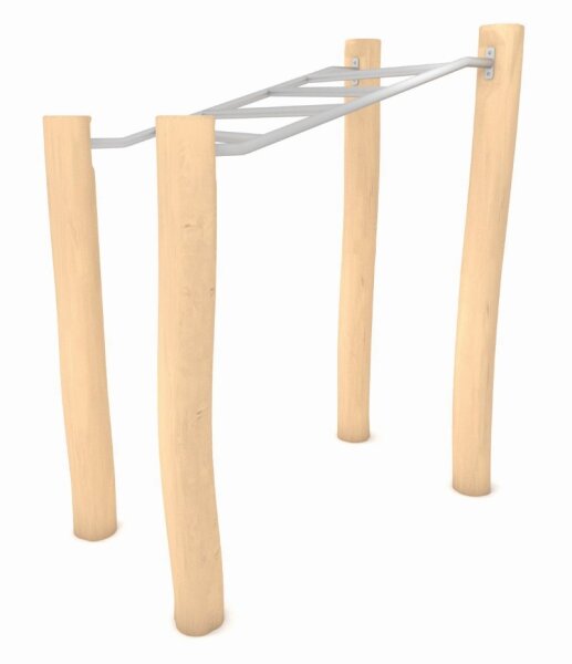 Hangelstrecke Robinie
