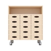 Regalschrank 79-80, 15 MK