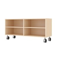 Regalschrank mit 4 F&auml;cher, mit Rollen