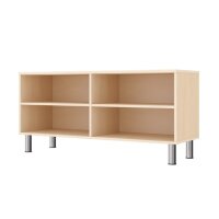 Regalschrank mit 4 F&auml;cher, mit Stellf&uuml;&szlig;en