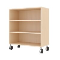 Regalschrank 79-80, 3 F&auml;cher