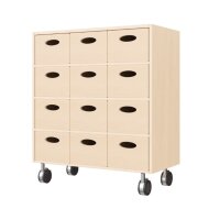 Regalschrank, 12 Materialk&auml;sten, Rollen