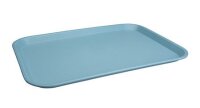 Tablett Polypropylen hellblau
