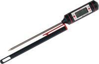 Einstech-Thermometer