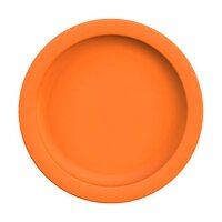 Teller flach &Oslash; 24 cm,