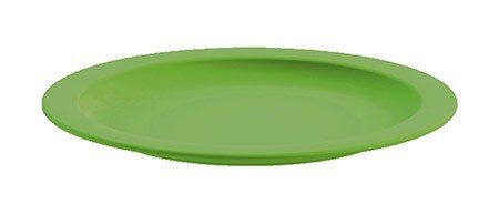 Teller flach &Oslash; 24 cm,