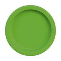 Teller flach &Oslash; 24 cm,