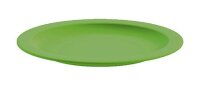 Teller flach &Oslash; 24 cm,