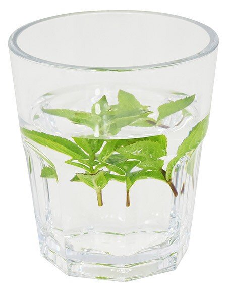 Trinkbecher Polycarbonat