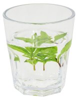 Trinkbecher Polycarbonat