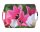 Tablett Tulpen