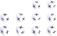 W&uuml;rfel Rechenzeichen Mal/Geteilt 10er Set