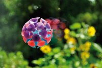 Saugball