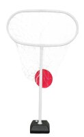 Frisbeeezielst&auml;nder