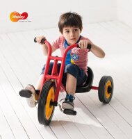 Easy Trike klein