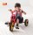 Easy Trike klein