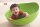 Rocking Bowl Green